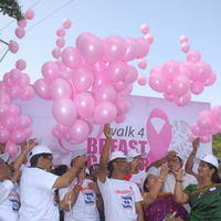 Nandamuri Balakrishna at Breast Cancer Awerence Walk - Pictures | Picture 104757